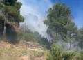Evolución favorable del incendio de Serra: los equipos trabajan para evitar rebrotes en la Calderona 11 Evolución favorable del incendio de Serra: los equipos trabajan para evitar rebrotes en la Calderona
