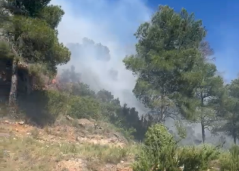 Evolución favorable del incendio de Serra: los equipos trabajan para evitar rebrotes en la Calderona 15 Evolución favorable del incendio de Serra: los equipos trabajan para evitar rebrotes en la Calderona