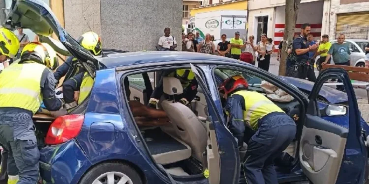 Una rama cae sobre un coche en Elche y deja atrapados a sus dos ocupantes 1 Una rama cae sobre un coche en Elche y deja atrapados a sus dos ocupantes