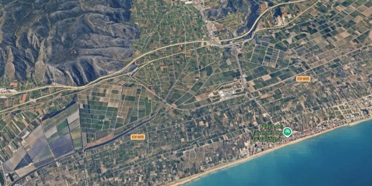 Emergencia en el agua: Un banco de medusas sorprende a más de 200 triatletas en Tavernes de la Valldigna 1 Emergencia en el agua: Un banco de medusas sorprende a más de 200 triatletas en Tavernes de la Valldigna