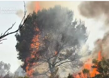 Estabilizado el incendio forestal de Benicarló tras una intensa jornada de extinción