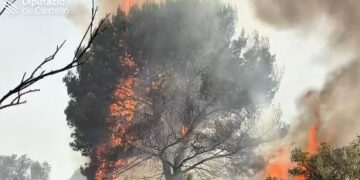 Estabilizado el incendio forestal de Benicarló tras una intensa jornada de extinción