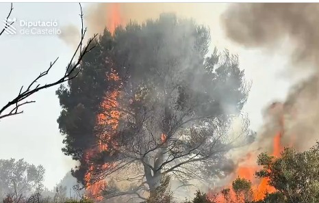 Estabilizado el incendio forestal de Benicarló tras una intensa jornada de extinción 1 Estabilizado el incendio forestal de Benicarló tras una intensa jornada de extinción