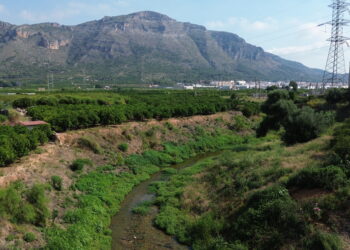 La Confederación Hidrográfica del Júcar impulsa una ambiciosa restauración ecológica en el río Vaca 14 La Confederación Hidrográfica del Júcar impulsa una ambiciosa restauración ecológica en el río Vaca