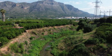 La Confederación Hidrográfica del Júcar impulsa una ambiciosa restauración ecológica en el río Vaca