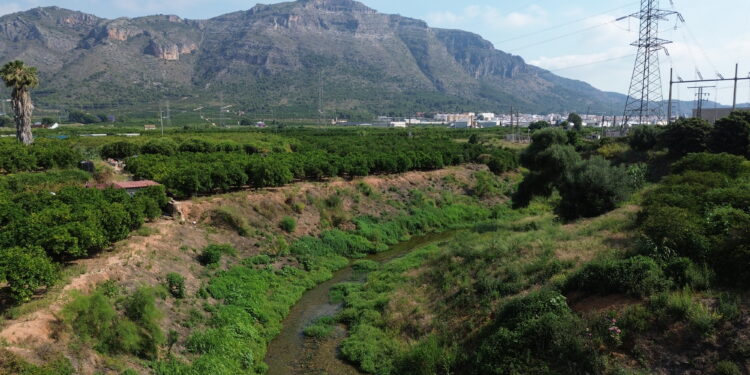 La Confederación Hidrográfica del Júcar impulsa una ambiciosa restauración ecológica en el río Vaca