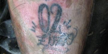 La Guardia Civil pide colaboración ciudadana para identificar el cuerpo de un anciano hallado en Albalat de la Ribera