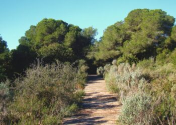 Final feliz en El Saler: la Policía Local localiza a un niño de 8 años perdido durante una excursión