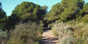 Final feliz en El Saler: la Policía Local localiza a un niño de 8 años perdido durante una excursión