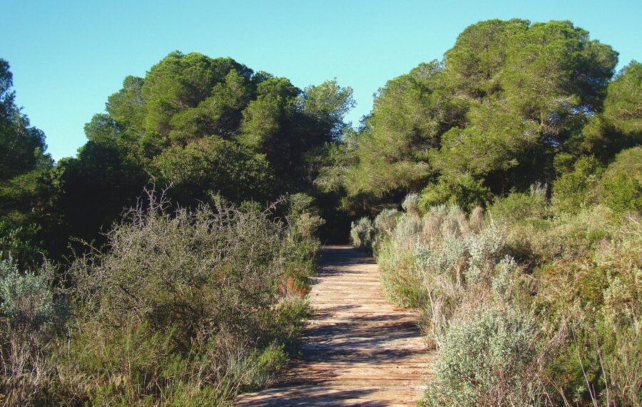 Final feliz en El Saler: la Policía Local localiza a un niño de 8 años perdido durante una excursión