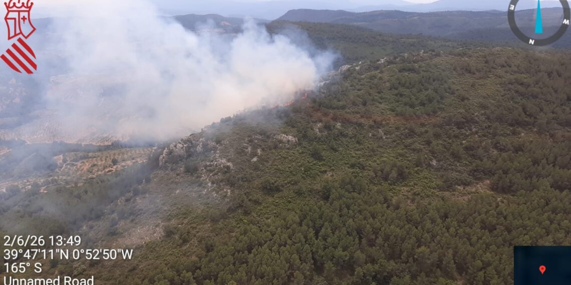 Controlado el Incendio Forestal declarado a mediodía en Higueruelas 1 Controlado el Incendio Forestal declarado a mediodía en Higueruelas