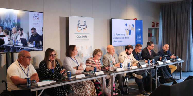 COCEMFE exige que la futura Ley de Profesiones de Servicios Sociales adopte un enfoque de derechos y reconozca al movimiento asociativo