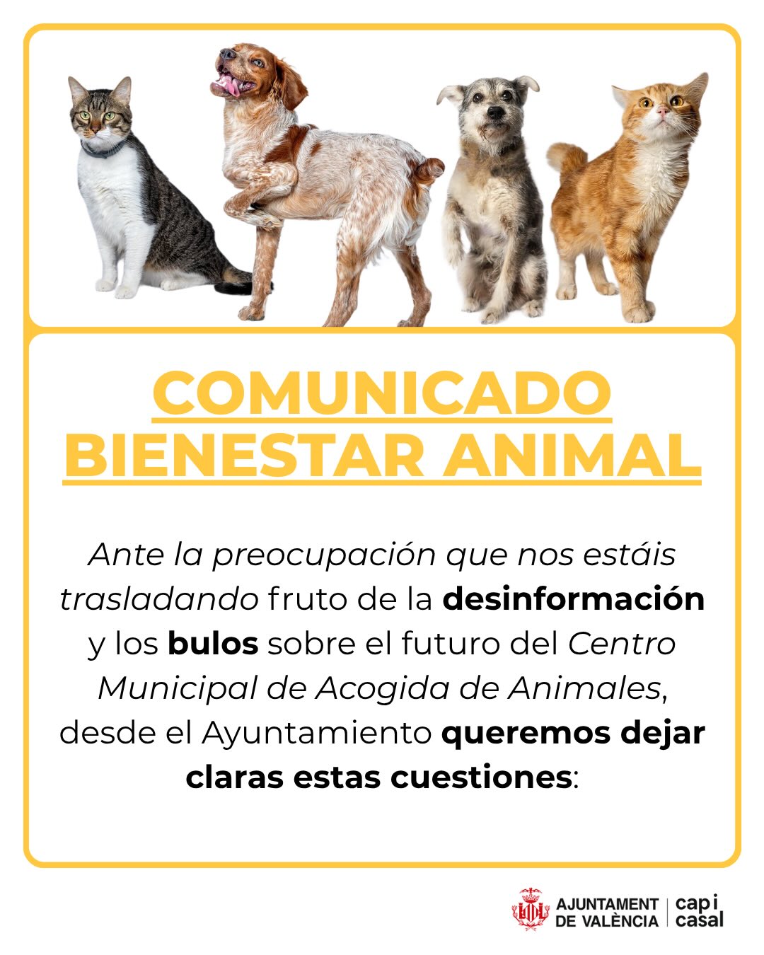 Tensión en el Ayuntamiento de Valéncia: el SEPRONA investiga a la protectora Modepran a 48 horas del polémico cambio de gestión 2 HKYEZtFWAAA XsZ