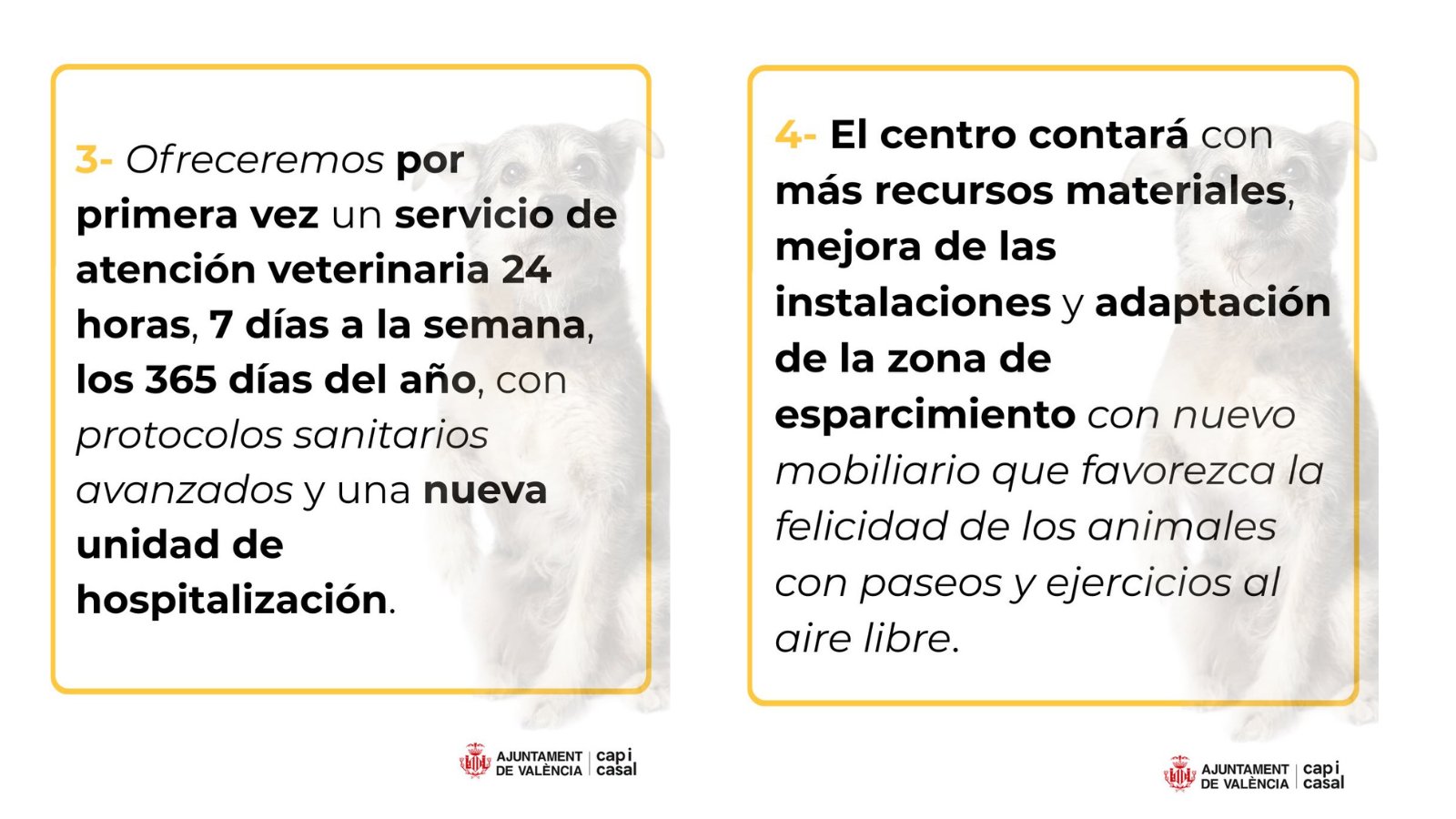 El viernes Modepran, tras 15 años de voluntariado, deberá entregar las llaves del refugio municipal animal de Valencia a la UTE liderada por una empresa de plagas andaluza 4 HKYF