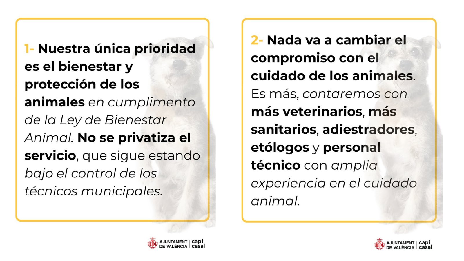 El viernes Modepran, tras 15 años de voluntariado, deberá entregar las llaves del refugio municipal animal de Valencia a la UTE liderada por una empresa de plagas andaluza 5 HKYFDt6WwAAb2rX