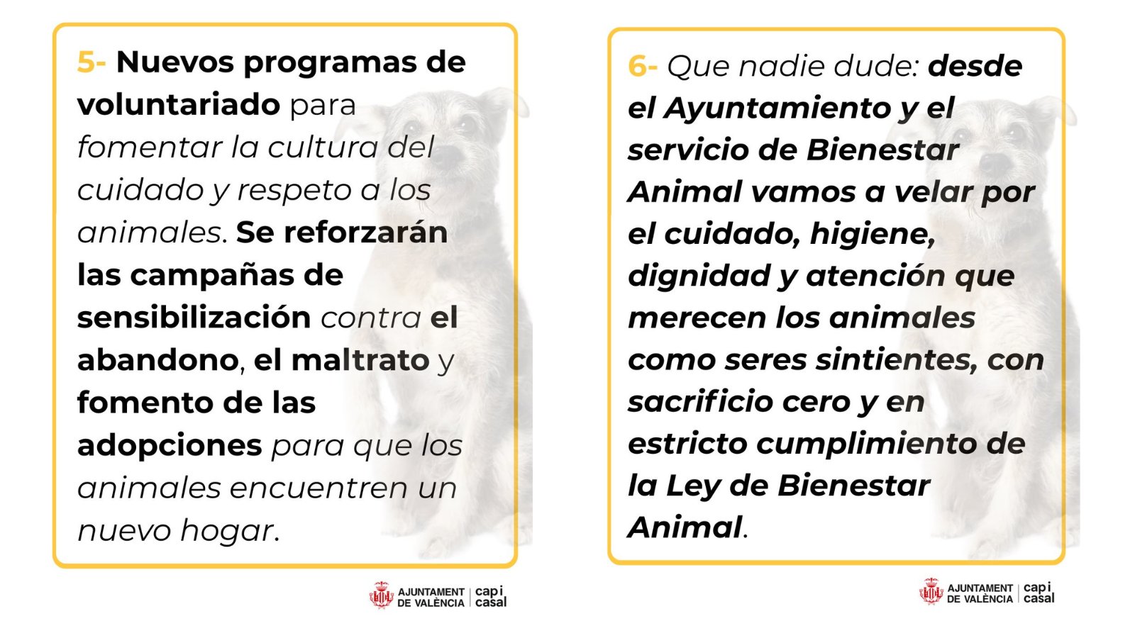 El viernes Modepran, tras 15 años de voluntariado, deberá entregar las llaves del refugio municipal animal de Valencia a la UTE liderada por una empresa de plagas andaluza 3 HKYGEVfWIAIGkOr