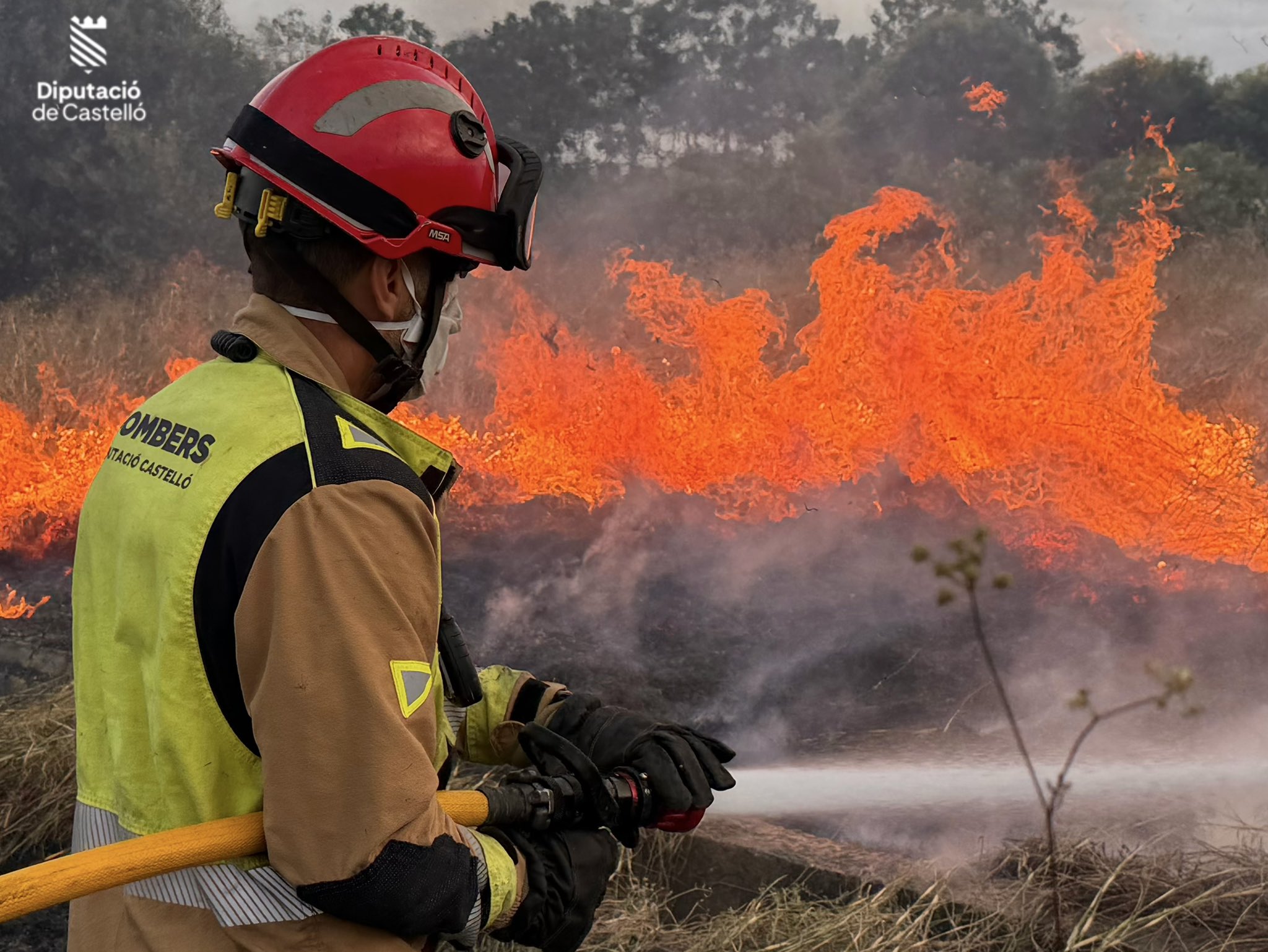 Extinguido el incendio de vegetación en Almassora tras afectar a campos abandonados con vertidos incontrolados 4 HKfBrv7X0AA0A0t