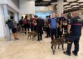 España duplica su esfuerzo en Venezuela: parte un segundo contingente con especialistas en rescate urbano y rescate canino