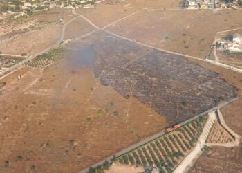 Estabilizado un incendio de vegetación en Sant Vicent del Raspeig tras un rápido despliegue terrestre y aéreo
