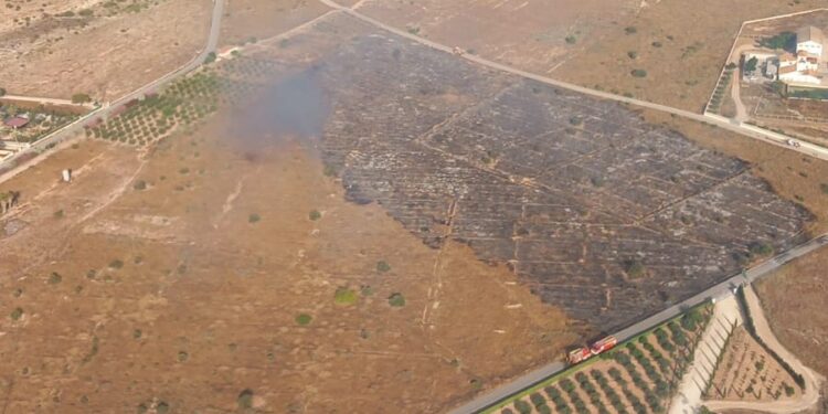 Estabilizado un incendio de vegetación en Sant Vicent del Raspeig tras un rápido despliegue terrestre y aéreo 1 Estabilizado un incendio de vegetación en Sant Vicent del Raspeig tras un rápido despliegue terrestre y aéreo