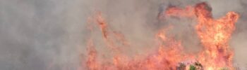 Se intensifica la lucha contra el incendio de Benicarló: amplían el dispositivo aéreo y terrestre ante el corte de la CV-138