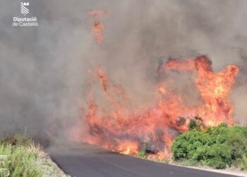 Se intensifica la lucha contra el incendio de Benicarló: amplían el dispositivo aéreo y terrestre ante el corte de la CV-138 14 Se intensifica la lucha contra el incendio de Benicarló: amplían el dispositivo aéreo y terrestre ante el corte de la CV-138