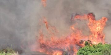 Se intensifica la lucha contra el incendio de Benicarló: amplían el dispositivo aéreo y terrestre ante el corte de la CV-138