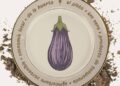 Gandia reivindica la Berenjena Listada como emblema de su gastronomía sostenible y de proximidad