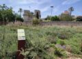 El Ayuntamiento de Valéncia abre el nuevo Jardín de Polinizadores en el corazón del Túria