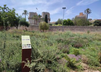 El Ayuntamiento de Valéncia abre el nuevo Jardín de Polinizadores en el corazón del Túria