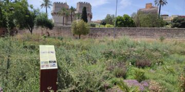 El Ayuntamiento de Valéncia abre el nuevo Jardín de Polinizadores en el corazón del Túria