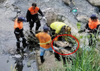 Hallan la mitad inferior de un cuerpo humano en avanzado estado de descomposición en El Saler