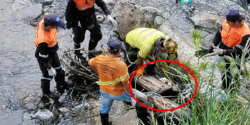 Hallan la mitad inferior de un cuerpo humano en avanzado estado de descomposición en El Saler