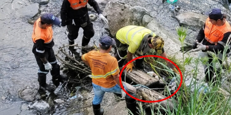 Hallan la mitad inferior de un cuerpo humano en avanzado estado de descomposición en El Saler 1 Hallan la mitad inferior de un cuerpo humano en avanzado estado de descomposición en El Saler