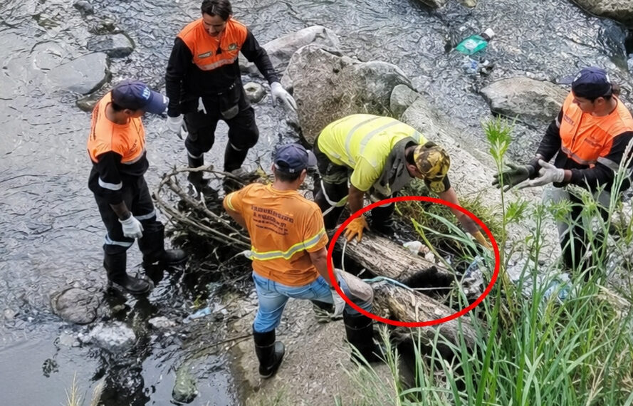 Hallan la mitad inferior de un cuerpo humano en avanzado estado de descomposición en El Saler 1 Hallan la mitad inferior de un cuerpo humano en avanzado estado de descomposición en El Saler