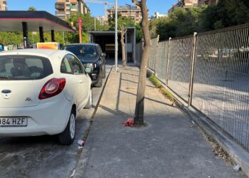 Vecinos de Benimaclet denuncian la tala injustificada de naranjos en las gasolineras del barrio