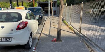 Vecinos de Benimaclet denuncian la tala injustificada de naranjos en las gasolineras del barrio