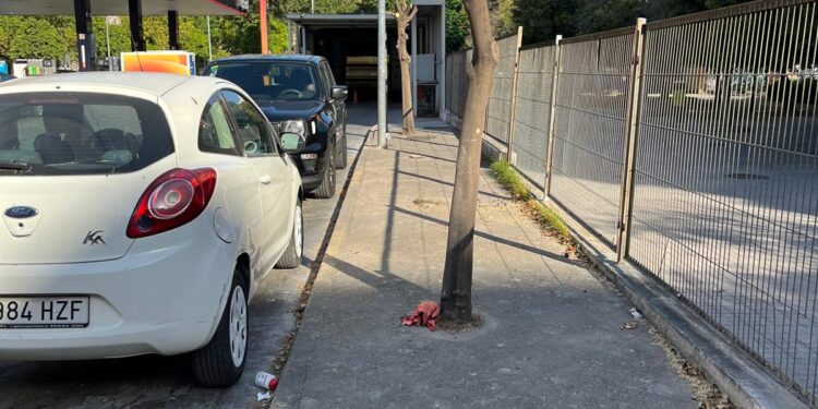 Vecinos de Benimaclet denuncian la tala injustificada de naranjos en las gasolineras del barrio 1 Vecinos de Benimaclet denuncian la tala injustificada de naranjos en las gasolineras del barrio