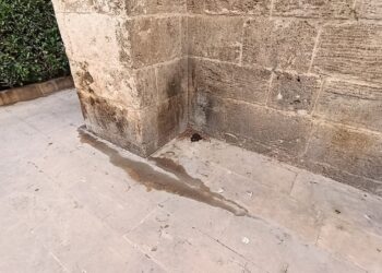 El reparto de la vergüenza en el antiguo Hospital General de Valencia