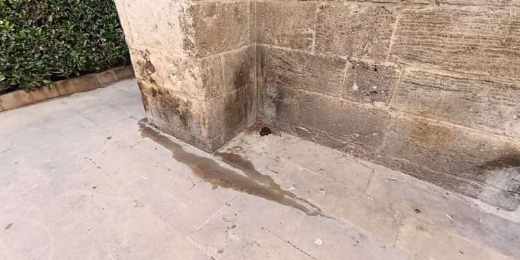 El reparto de la vergüenza en el antiguo Hospital General de Valencia