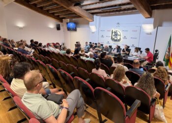 El Pleno de JCF oficializa una nueva comisión en Campanar y ratifica las 2 fallas del Pobles del Sur