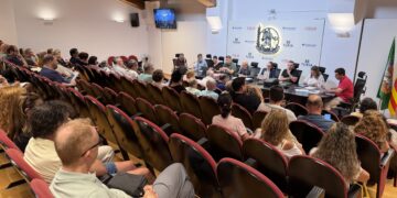 El Pleno de JCF oficializa una nueva comisión en Campanar y ratifica las 2 fallas del Pobles del Sur