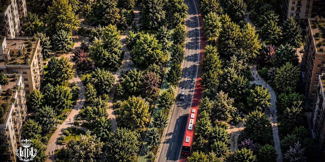 Valencia tendrá su segundo gran pulmón verde: el paseo García Lorca y el Parc Central sumarán 230.000 metros cuadrados 1 Valencia tendrá su segundo gran pulmón verde: el paseo García Lorca y el Parc Central sumarán 230.000 metros cuadrados