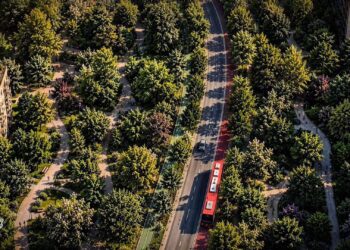 Valencia tendrá su segundo gran pulmón verde: el paseo García Lorca y el Parc Central sumarán 230.000 metros cuadrados