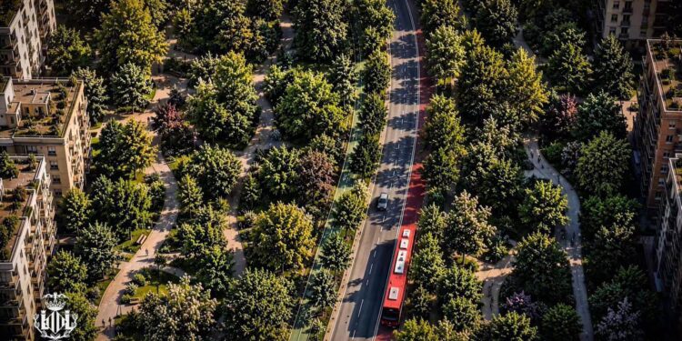 Valencia tendrá su segundo gran pulmón verde: el paseo García Lorca y el Parc Central sumarán 230.000 metros cuadrados 1 Valencia tendrá su segundo gran pulmón verde: el paseo García Lorca y el Parc Central sumarán 230.000 metros cuadrados