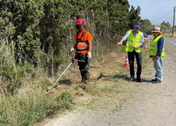 Valéncia intensifica la prevención de incendios en la Albufera con la retirada de cuatro toneladas de vegetación
