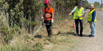 Valéncia intensifica la prevención de incendios en la Albufera con la retirada de cuatro toneladas de vegetación