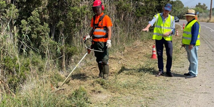 Valéncia intensifica la prevención de incendios en la Albufera con la retirada de cuatro toneladas de vegetación