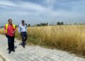 El plan de vigilancia rural de Valéncia supera las 1.000 actuaciones en solo cinco meses