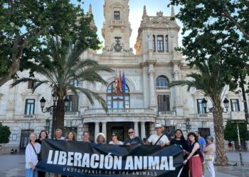 Indignación y mucha preocupación por el refugio animal municipal de Valencia 14 Indignación y mucha preocupación por el refugio animal municipal de Valencia